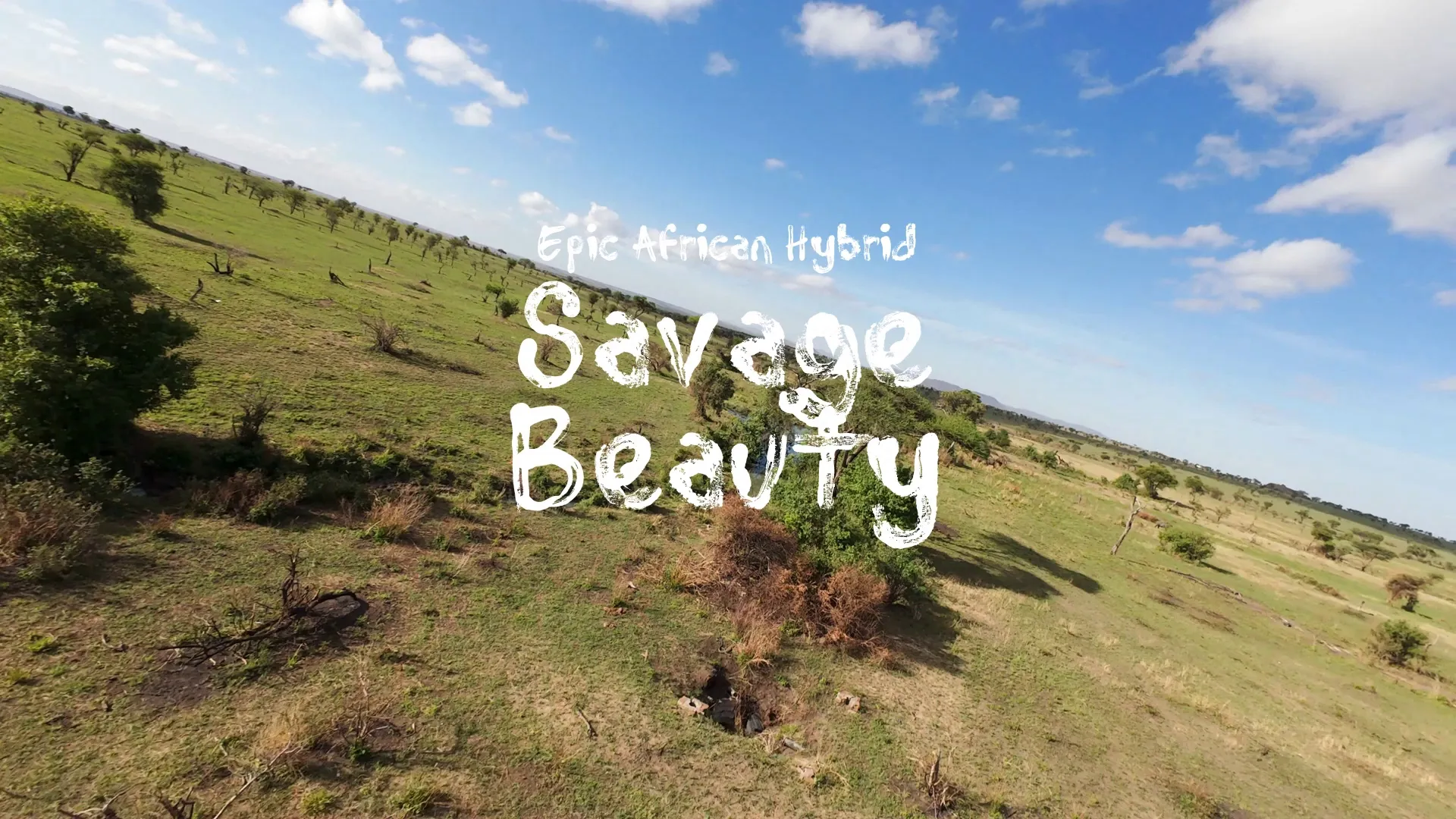 Savage Beauty / Epic African Hybrid