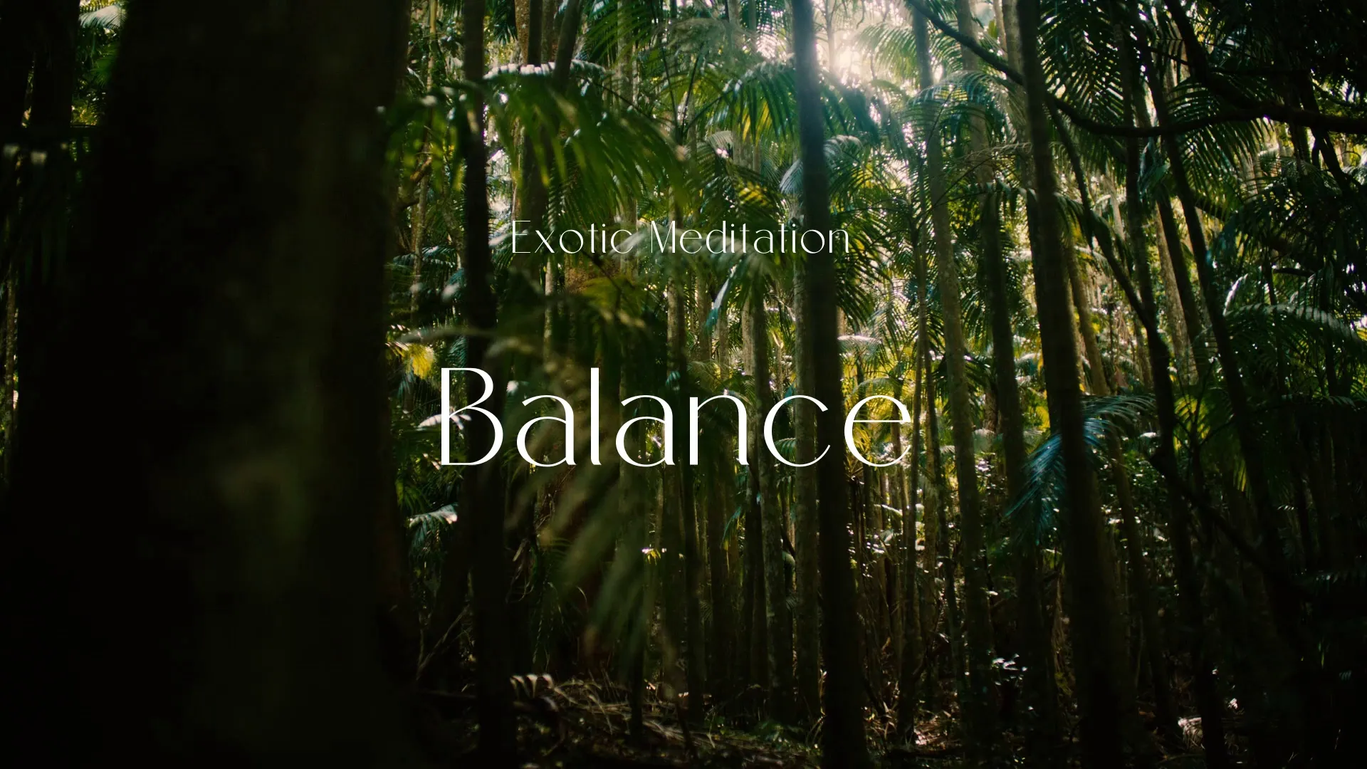 Balance / Exotic Meditation