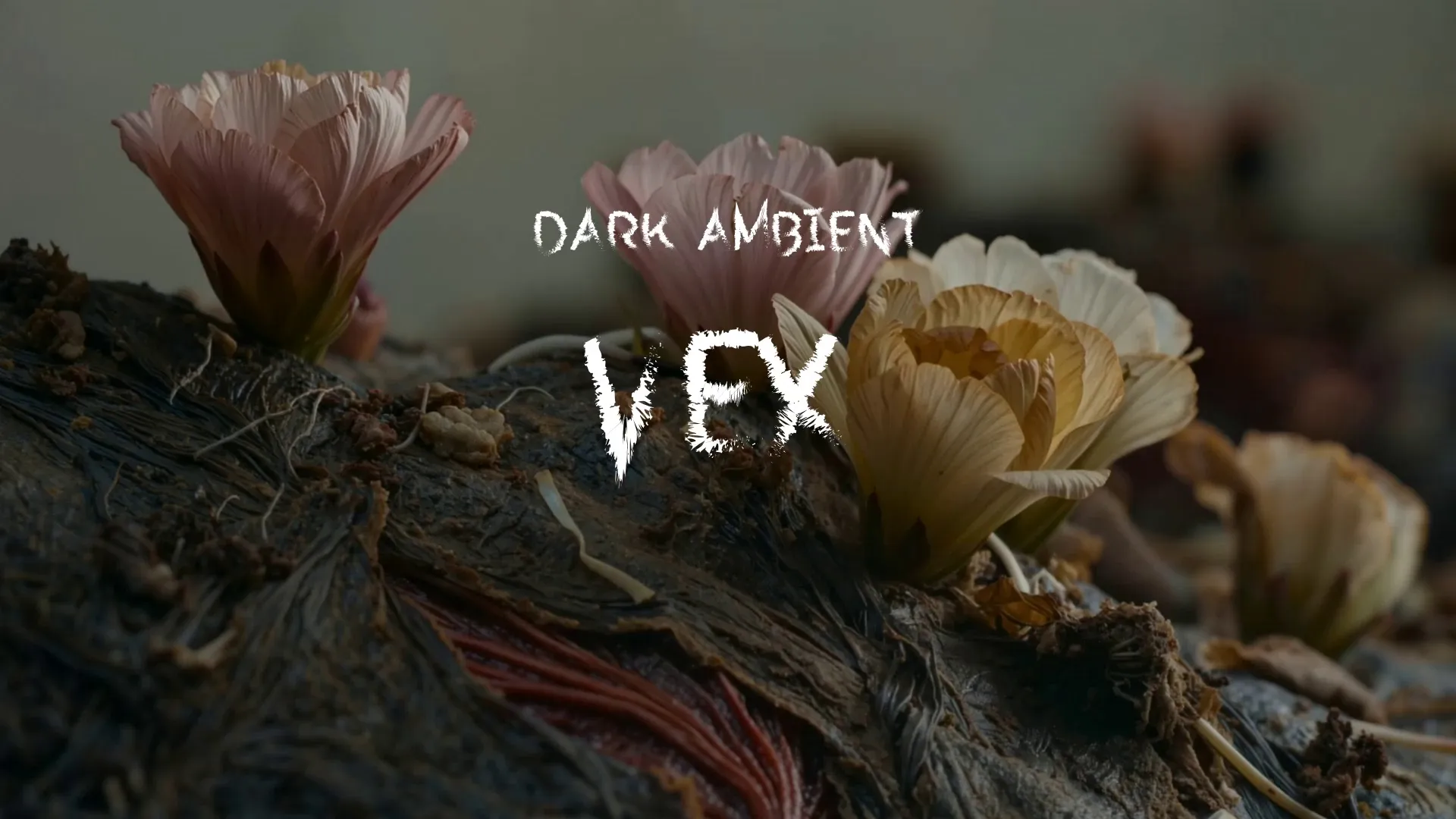 Vex / Dark Ambient