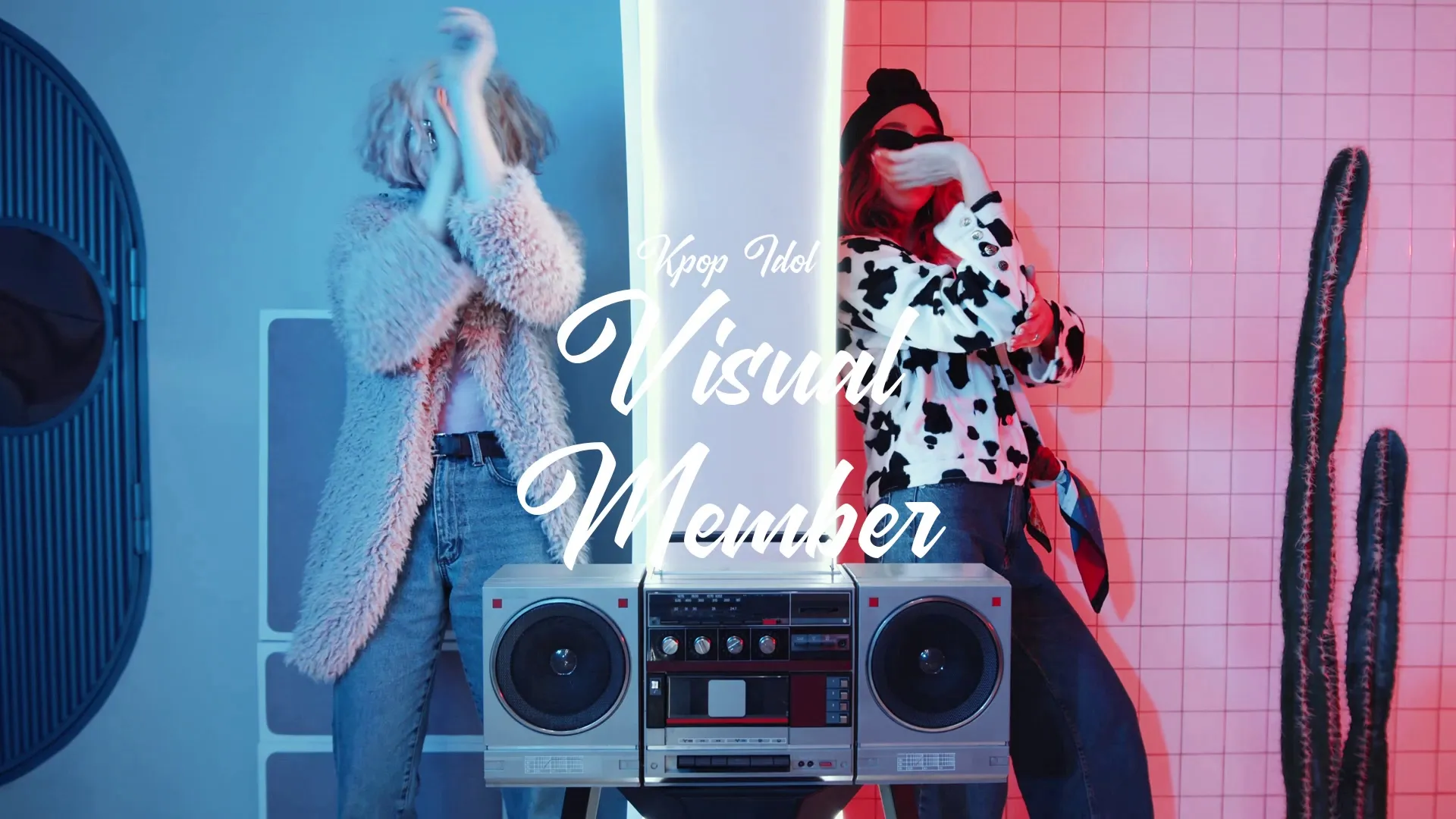 Visual Member / Kpop Idol