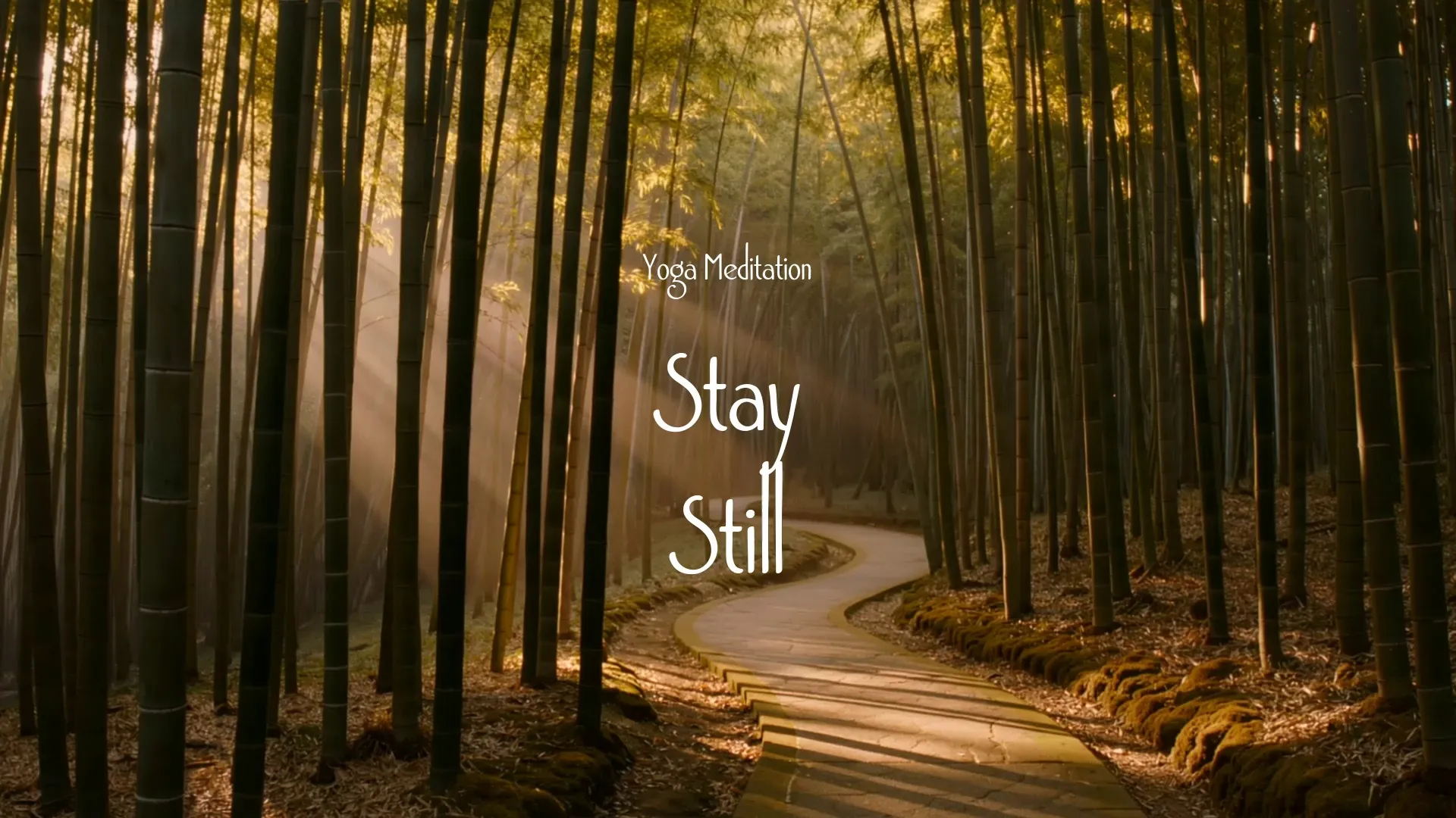 Stay Still / Yoga Meditation