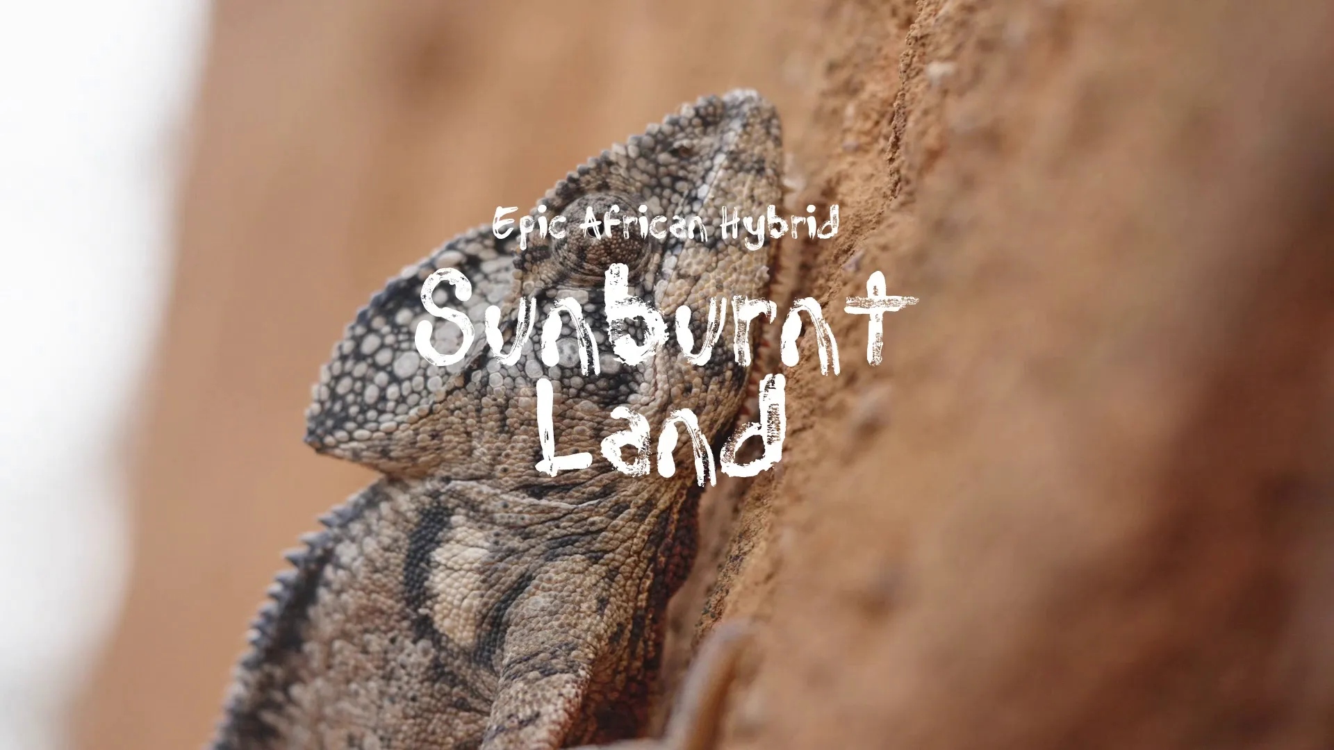Sunburnt Land / Epic African Hybrid