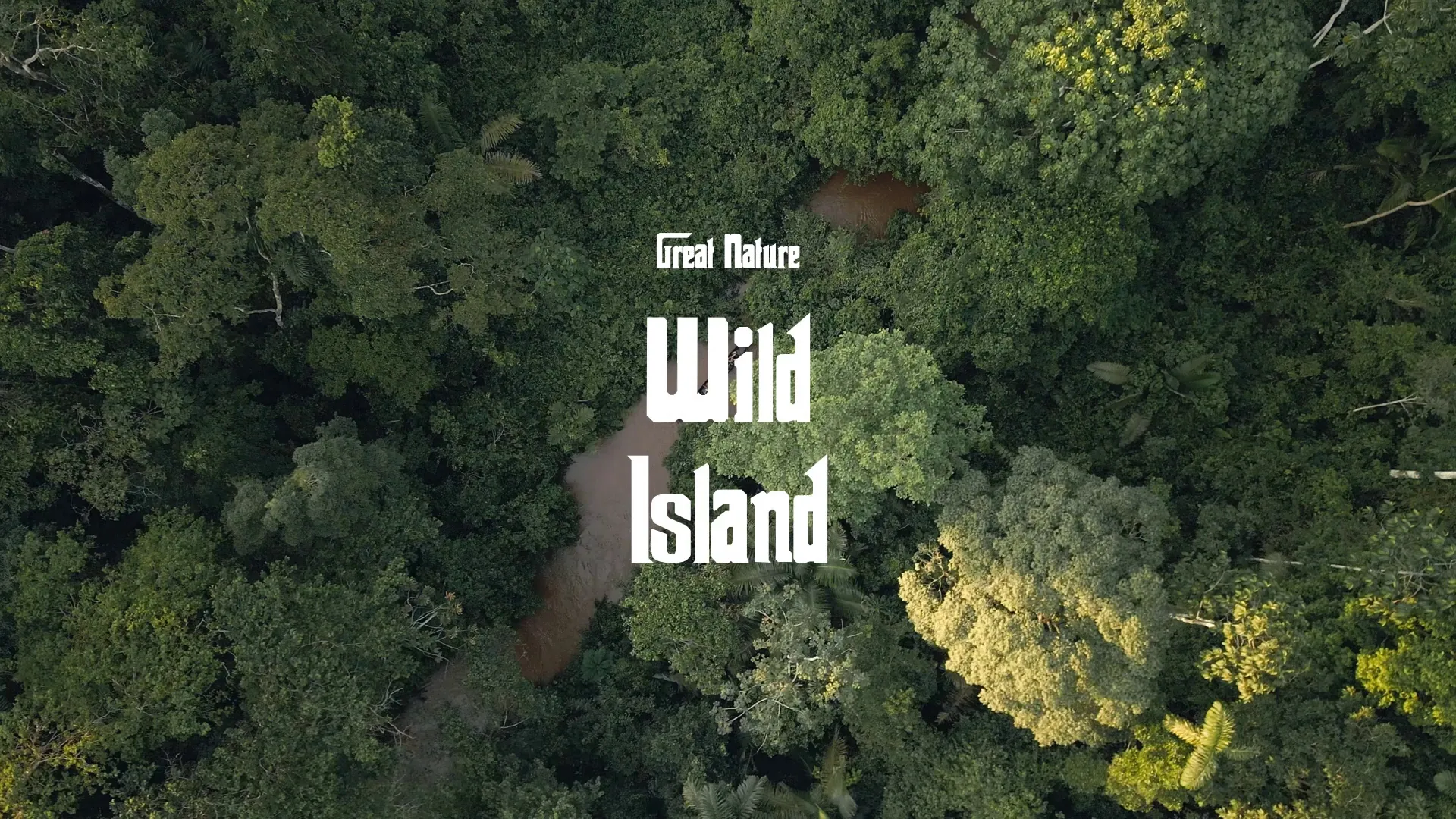 Wild Island / Great Nature