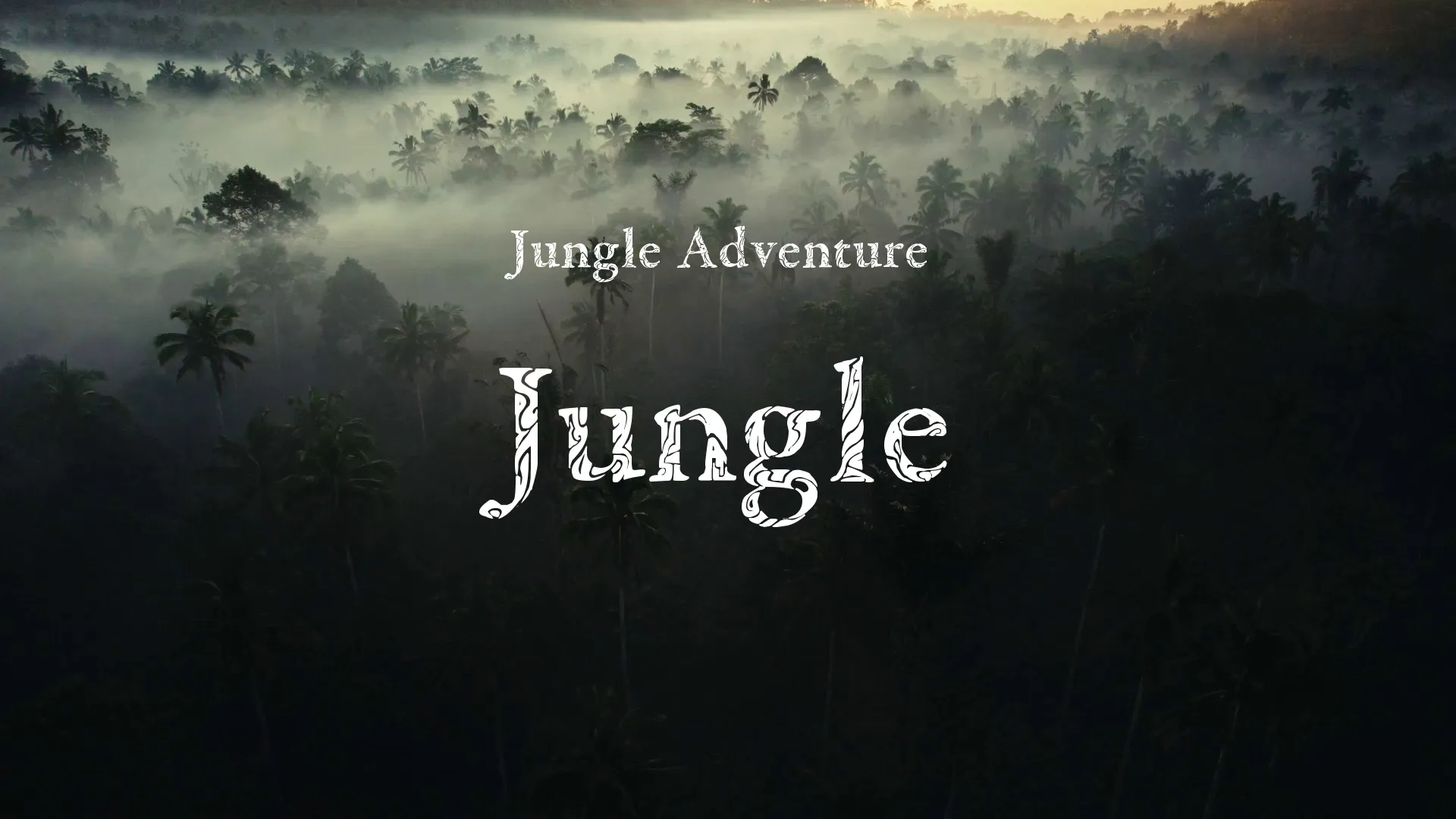 Jungle / Jungle Adventure