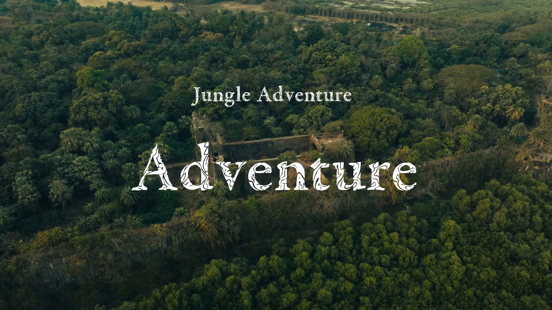 Adventure / Jungle Adventure