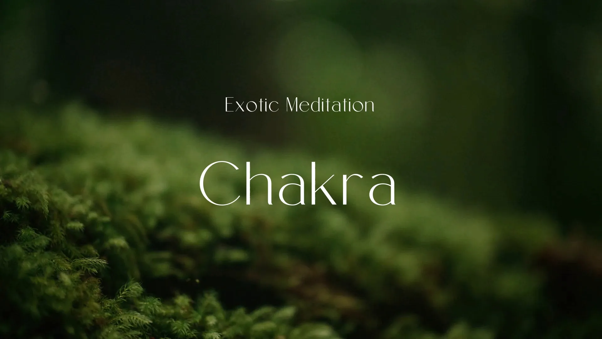 Chakra / Exotic Meditation