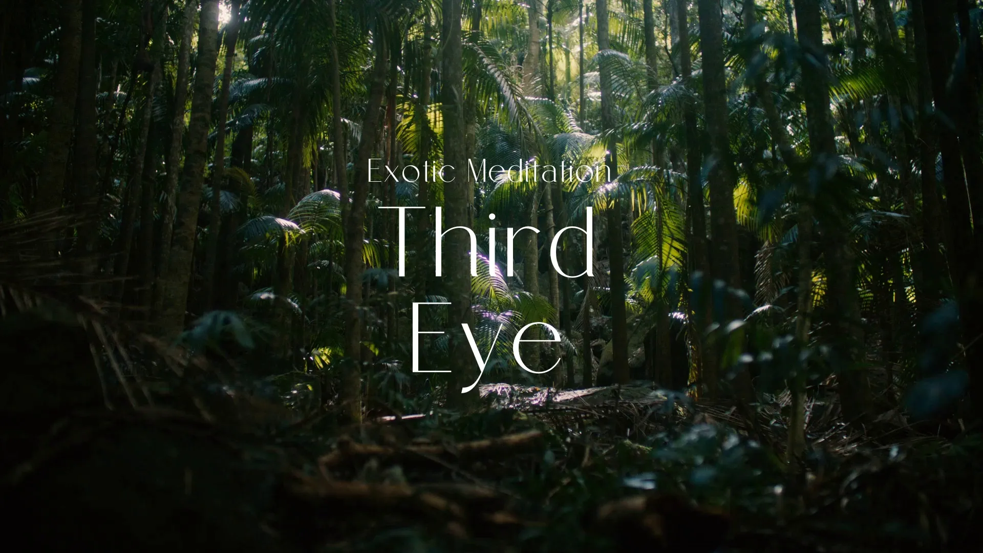 Third Eye / Exotic Meditation