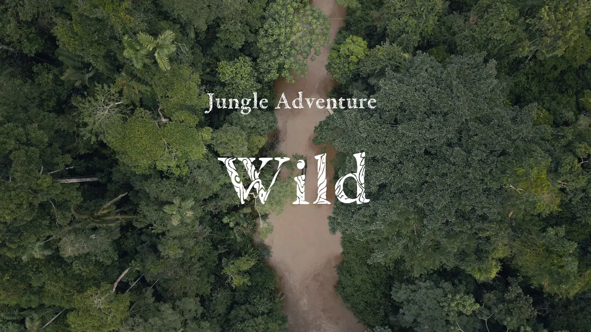 Wild / Jungle Adventure