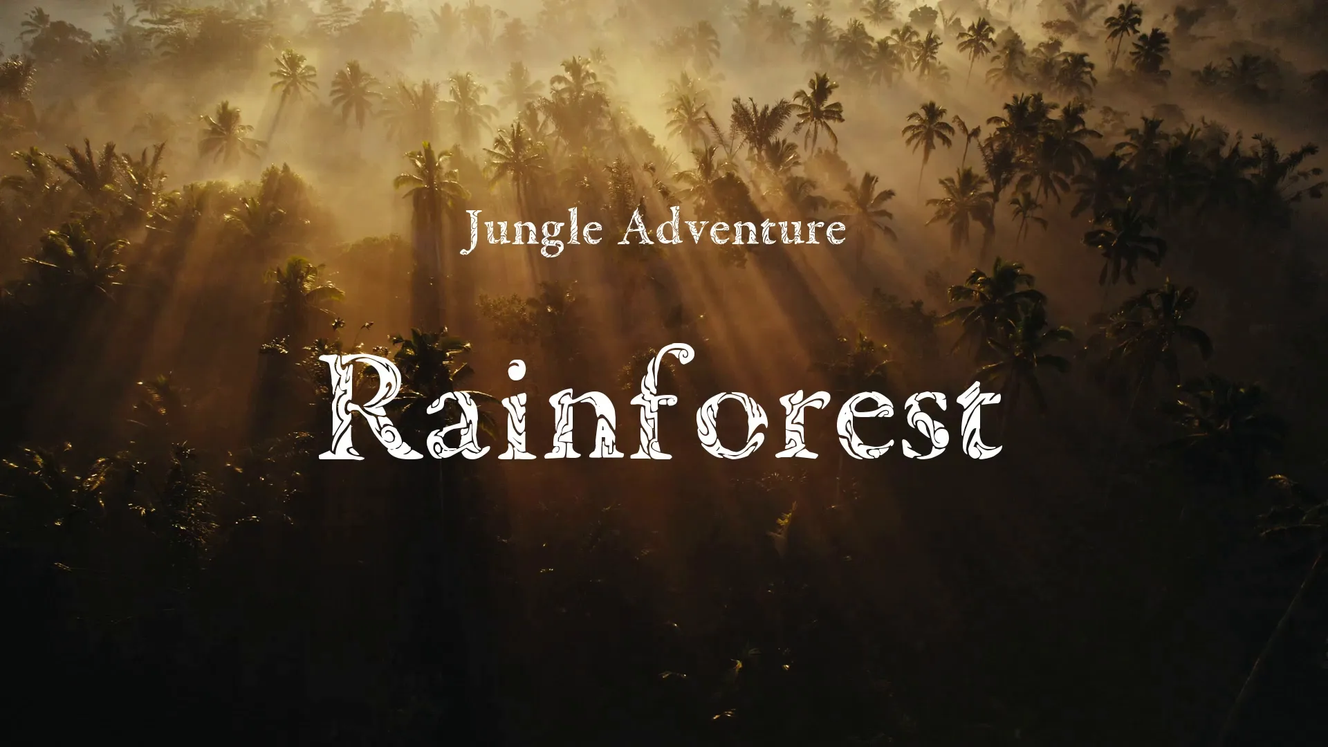 Rainforest / Jungle Adventure