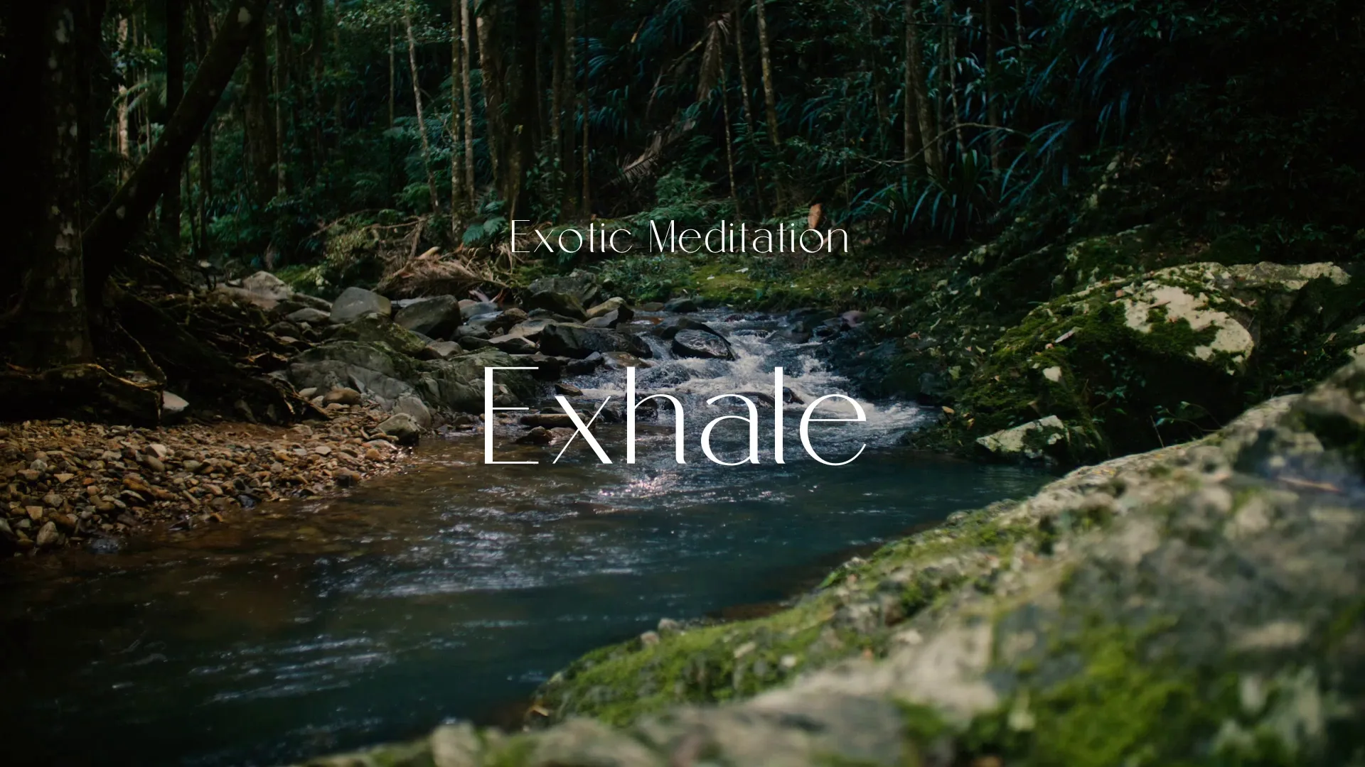 Exhale / Exotic Meditation