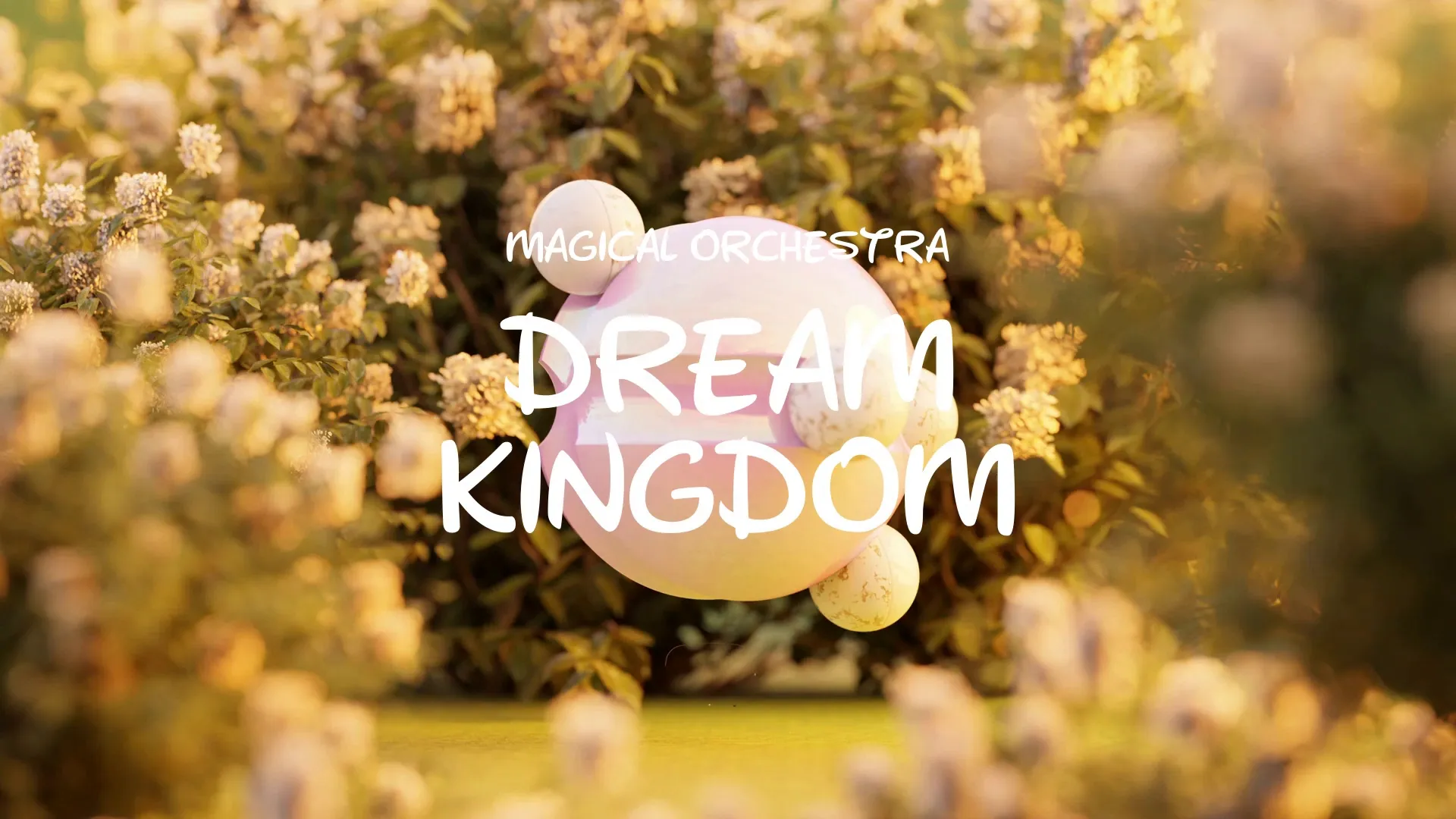 Dream Kingdom / Magical Orchestra