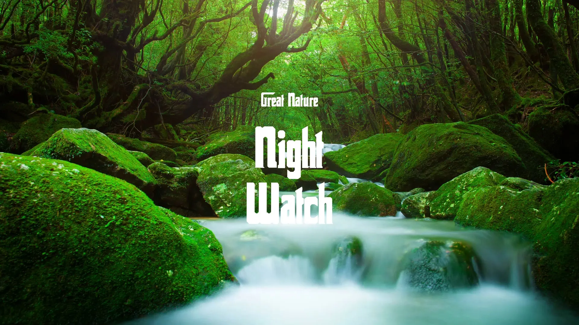 Night Watch / Great Nature