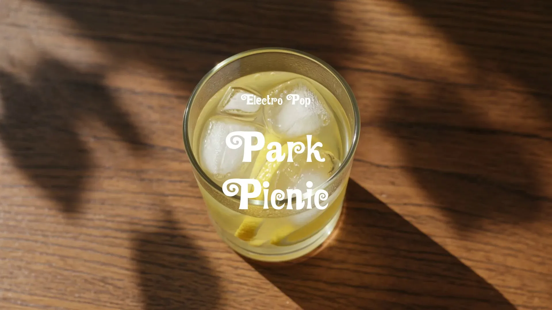 Park Picnic / Electro Pop