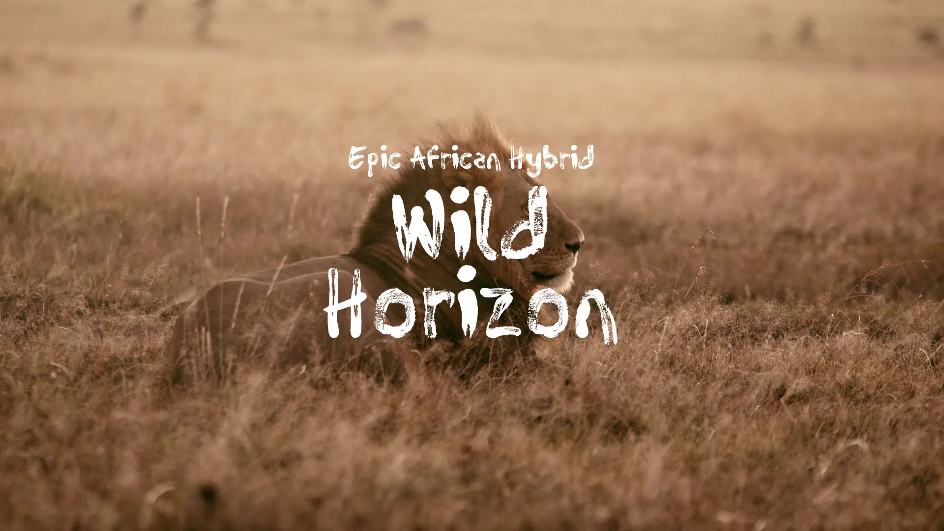 Wild Horizon / Epic African Hybrid