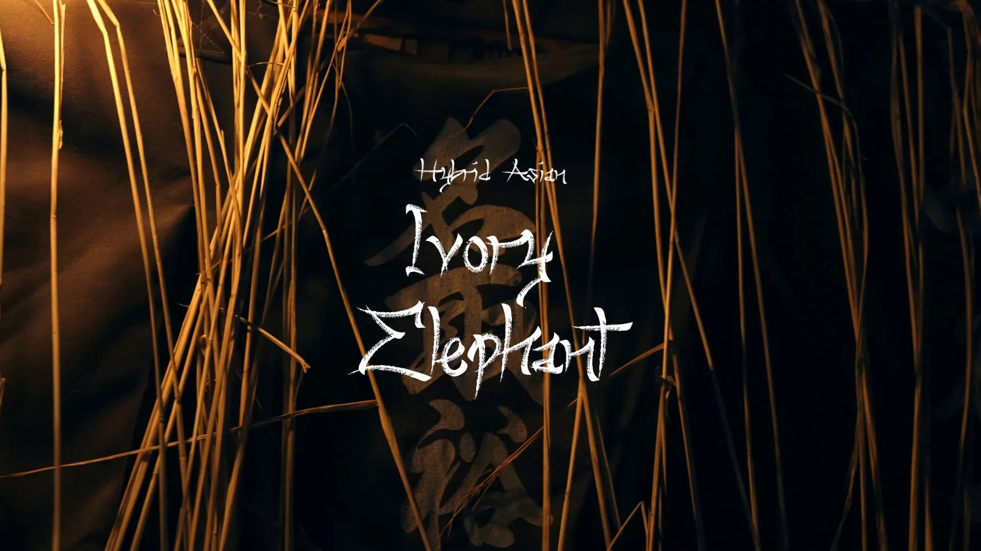 Ivory Elephant / Hybrid Asian