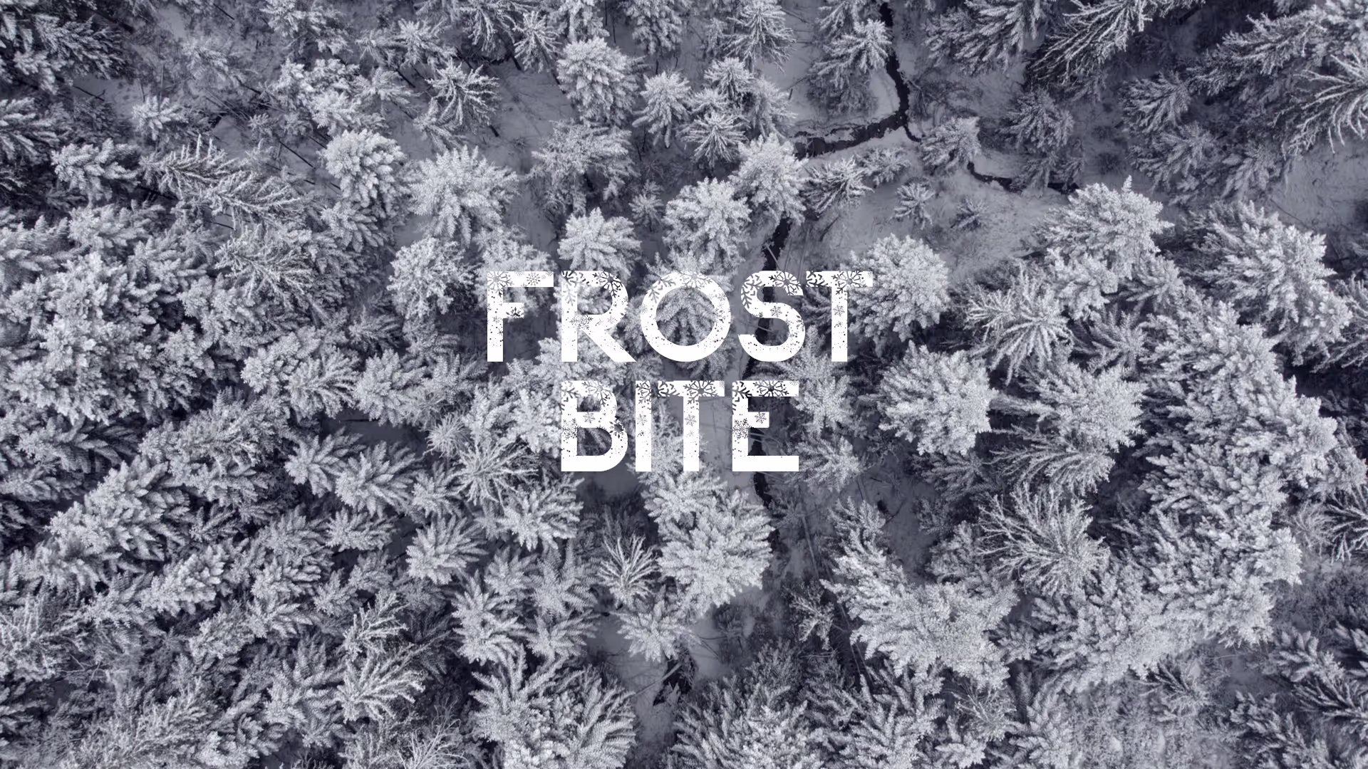 FROST BITE / LOFI CHILL MUSIC