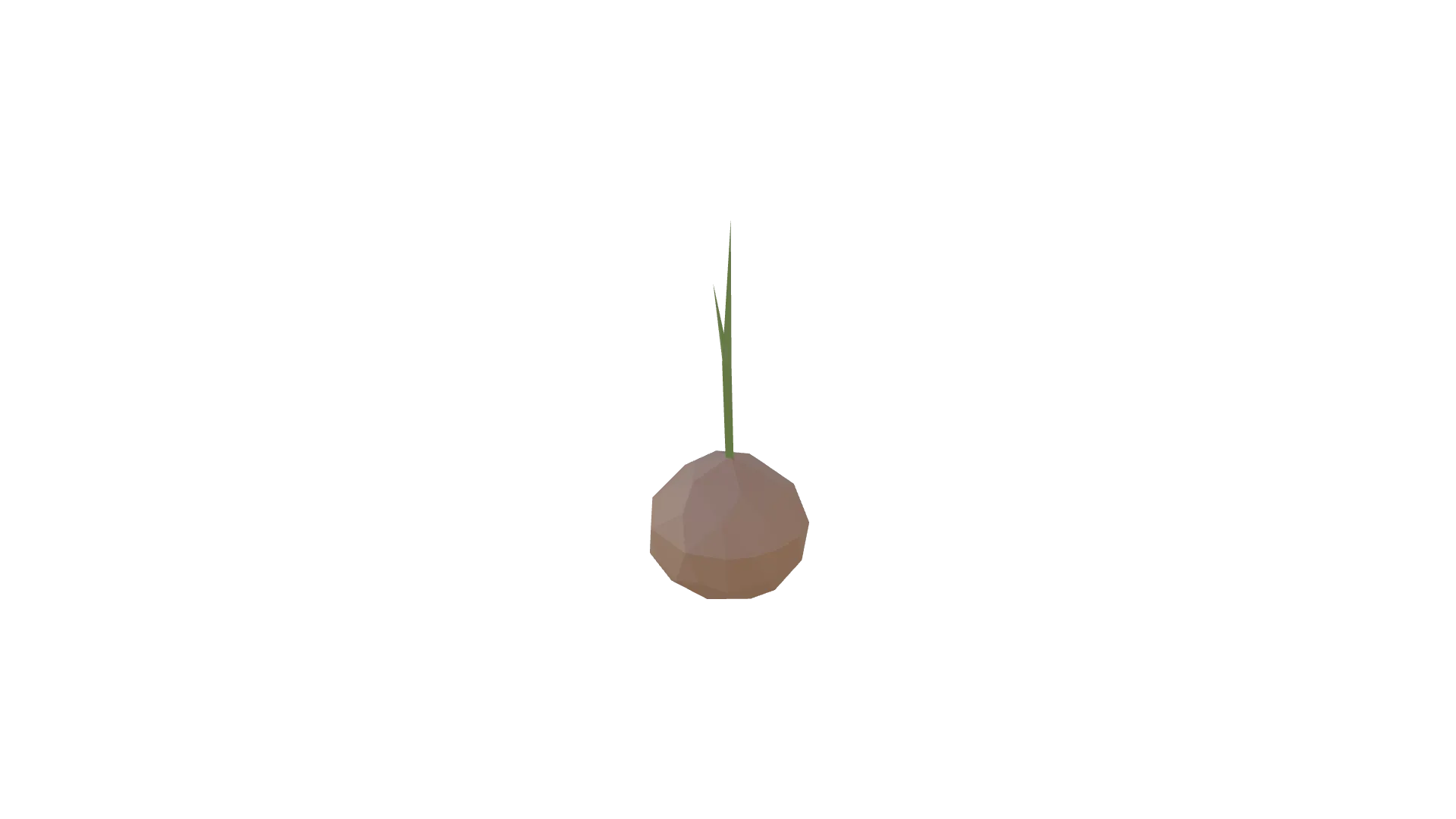 Onion