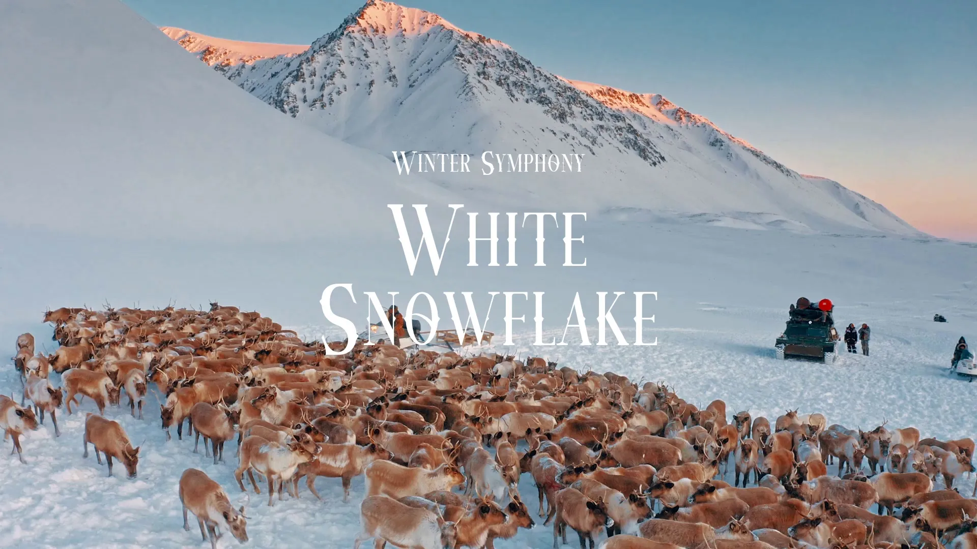 White Snowflake / Winter Symphony