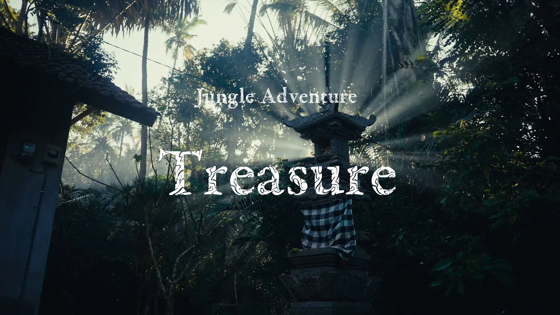 Treasure / Jungle Adventure