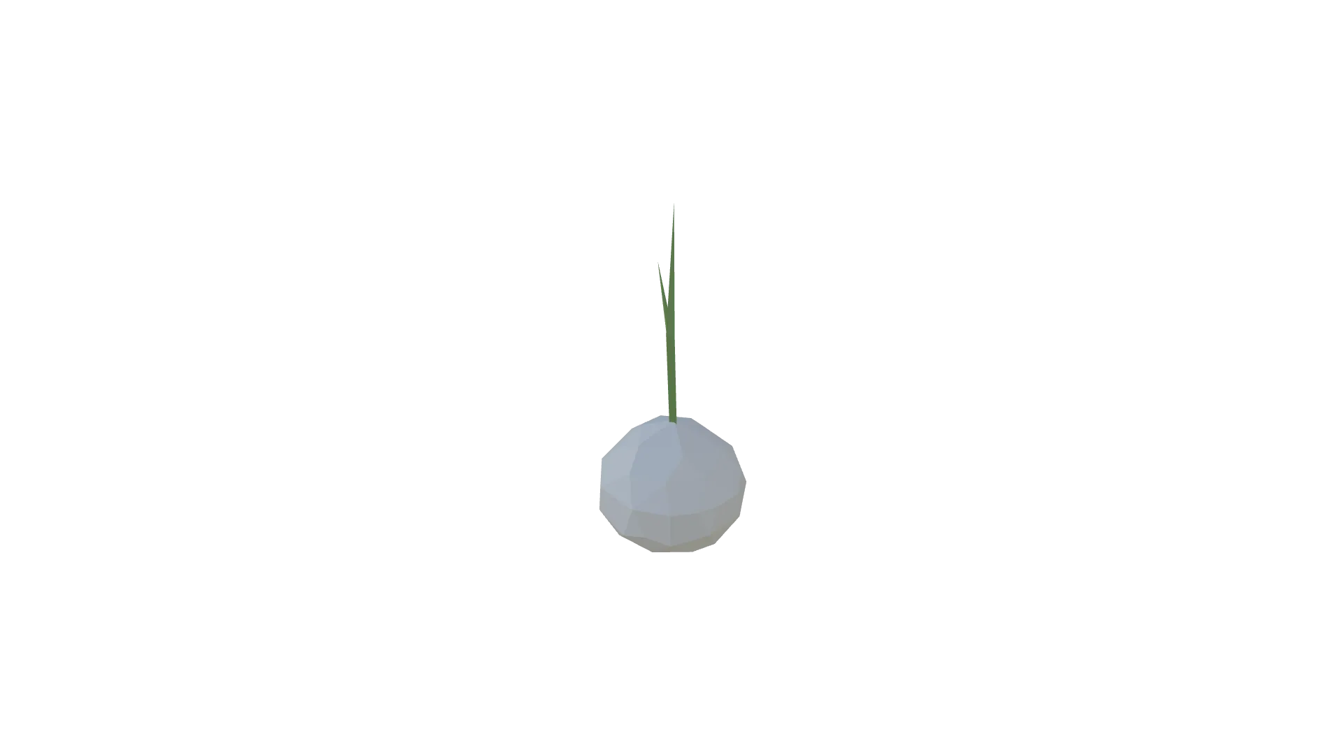 Onion White