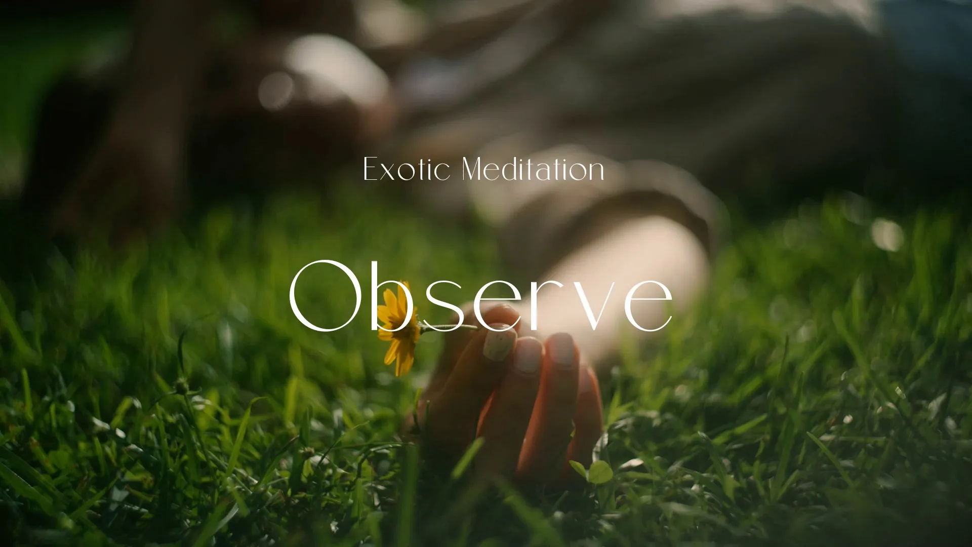 Observe / Exotic Meditation